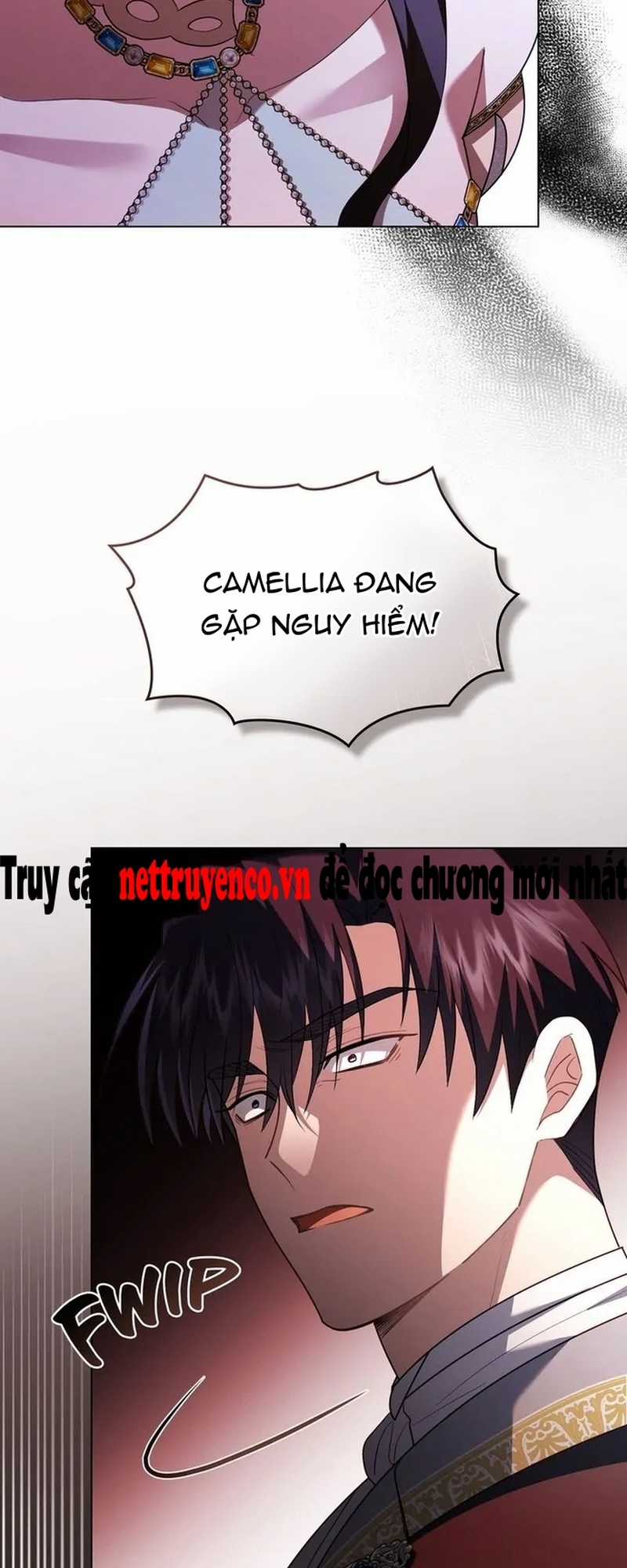 Tìm Lại Camellia - Chapter 96 - Trang 55