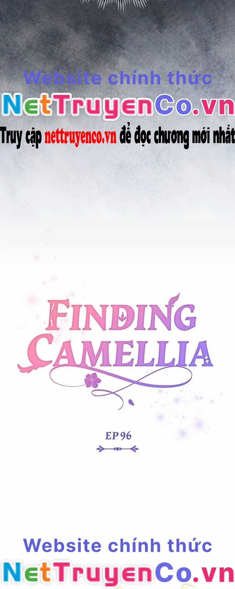 Tìm Lại Camellia - Chapter 96 - Trang 7