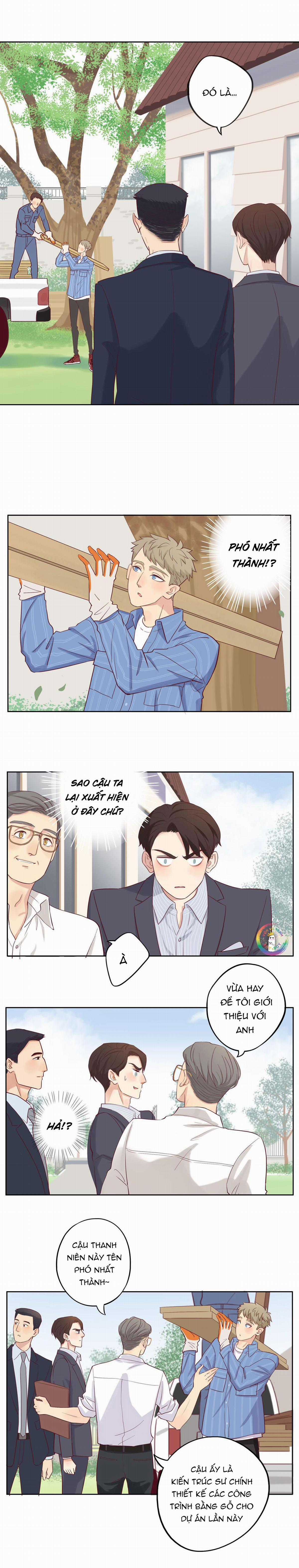 Tình Chàng 30 - Chapter 12 - Trang 3