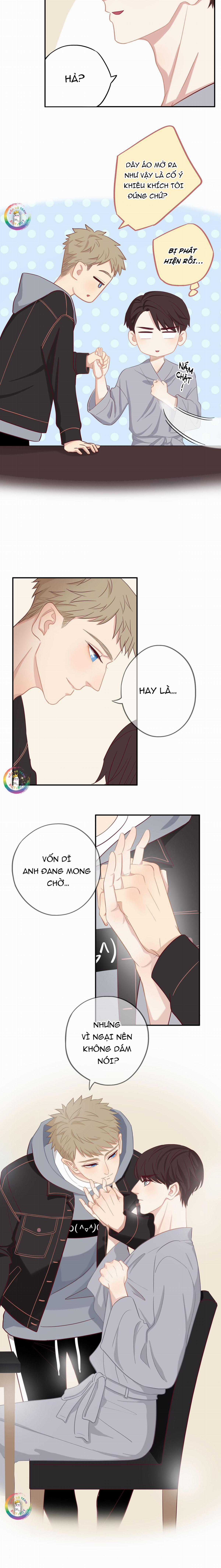 Tình Chàng 30 - Chapter 18 - Trang 4