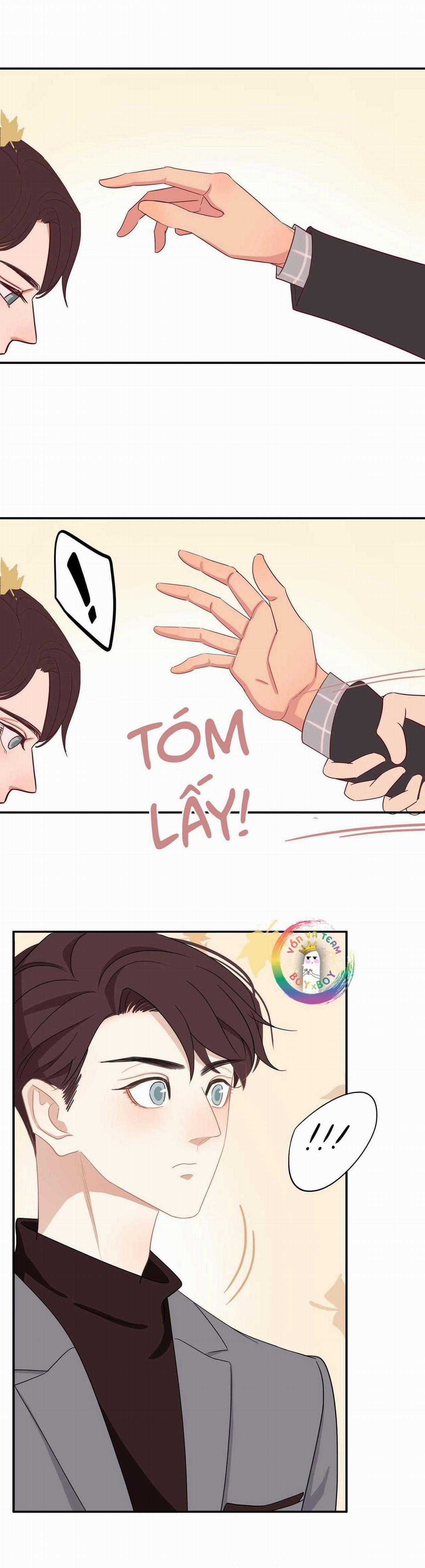 Tình Chàng 30 - Chapter 37 - Trang 12