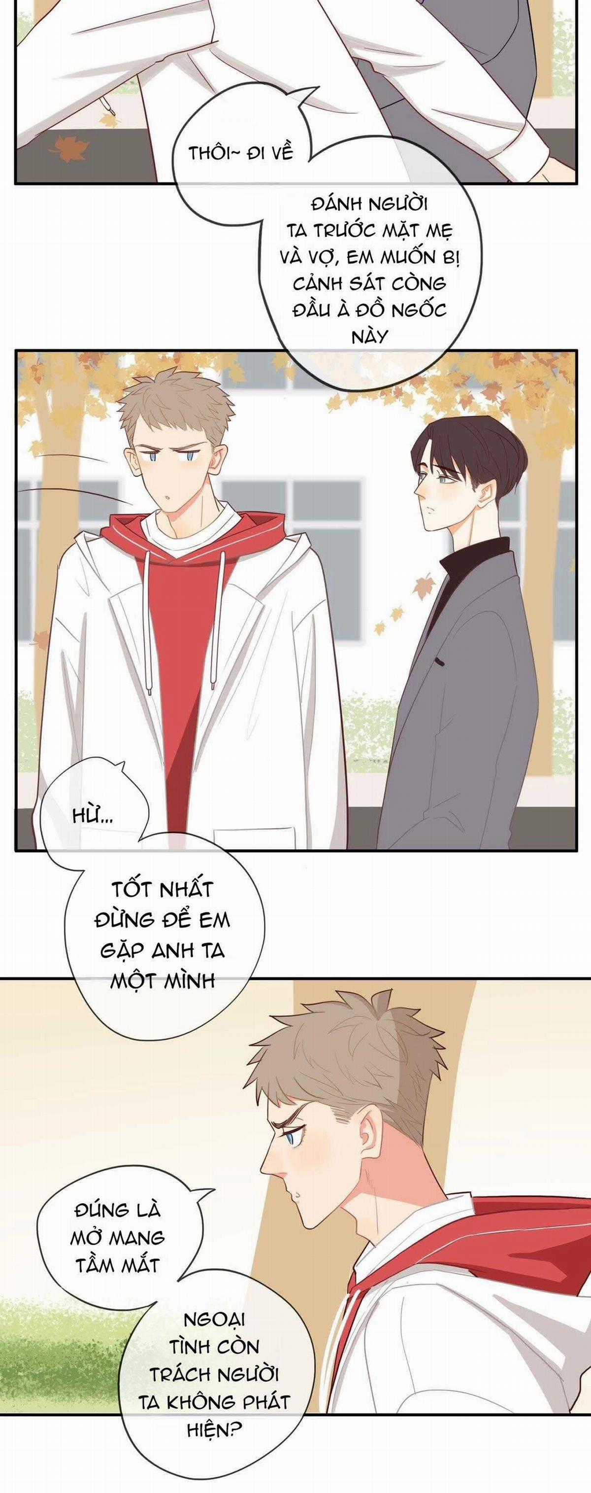 Tình Chàng 30 - Chapter 38 - Trang 15