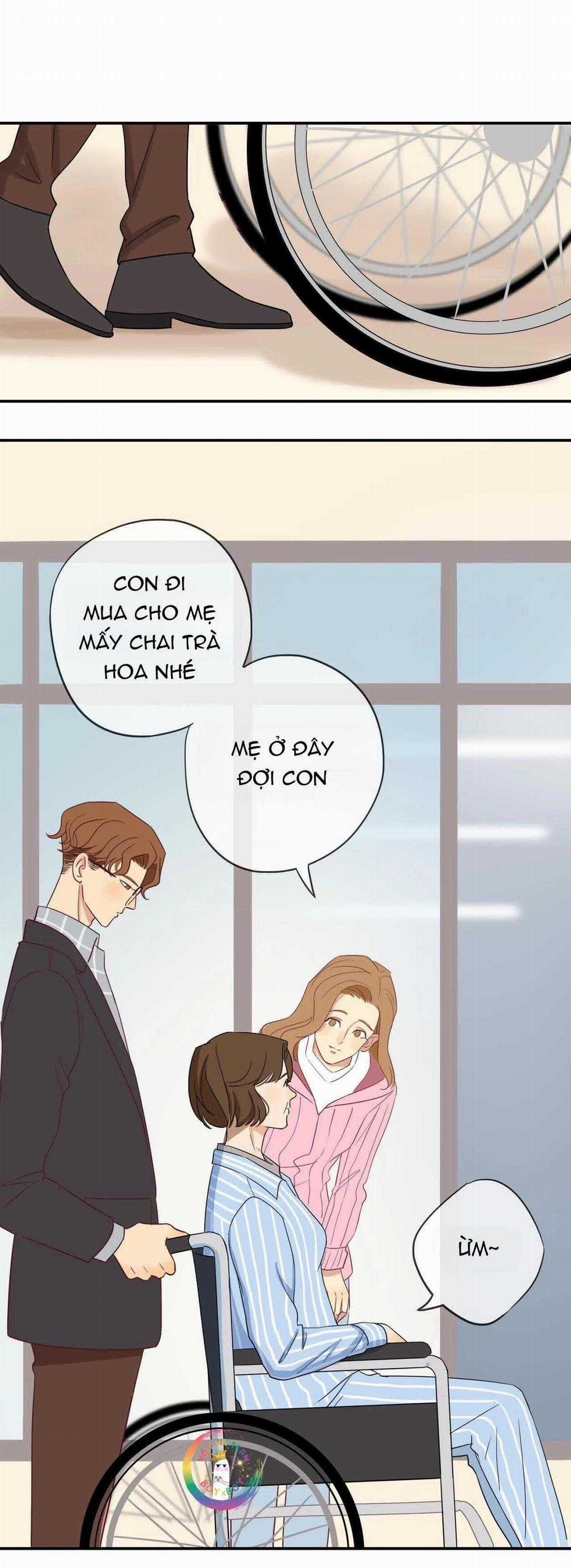 Tình Chàng 30 - Chapter 38 - Trang 29