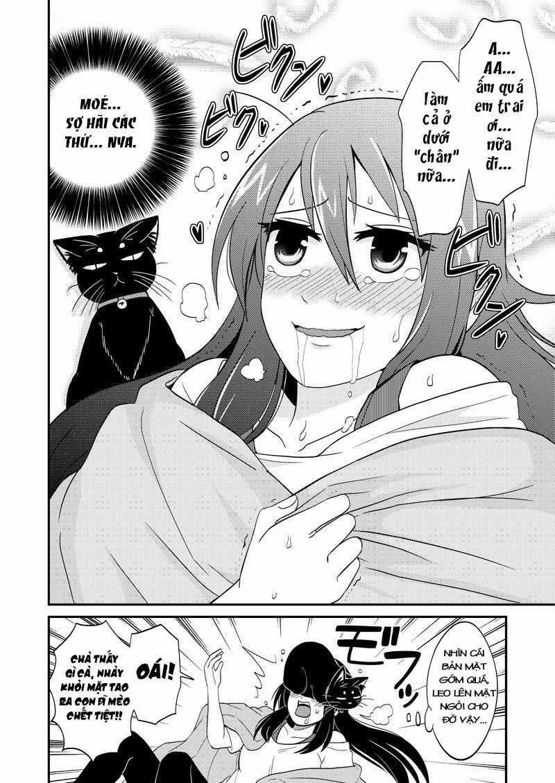 Tình Chị Em - Chương 111 - Trang 11