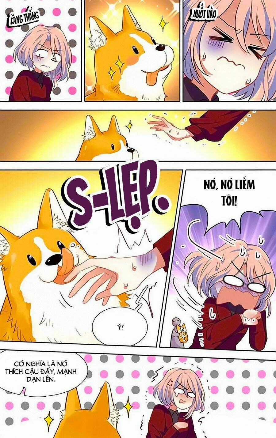 Tinh Mộng Thần Tượng - Chapter 254 - Trang 2