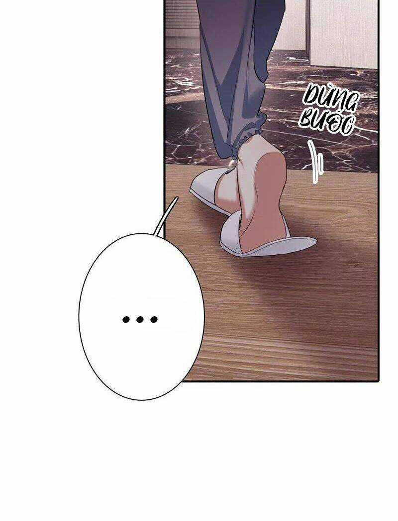 Tinh Mộng Thần Tượng - Chapter 302 - Trang 14