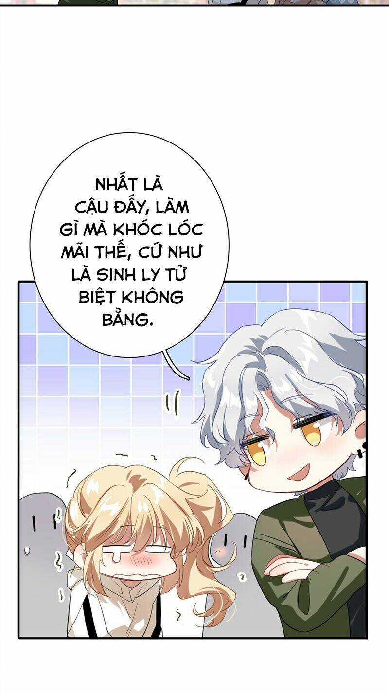 Tinh Mộng Thần Tượng - Chapter 304 - Trang 5