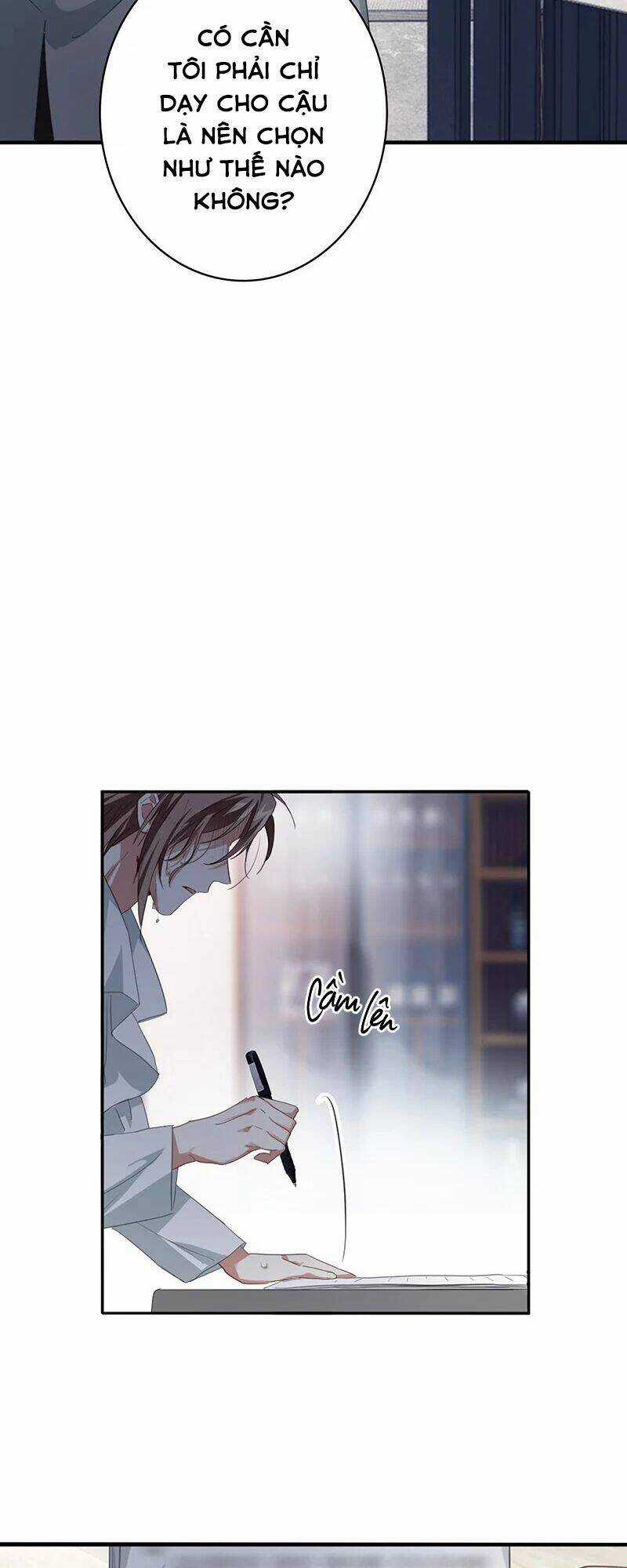 Tinh Mộng Thần Tượng - Chapter 331 - Trang 4