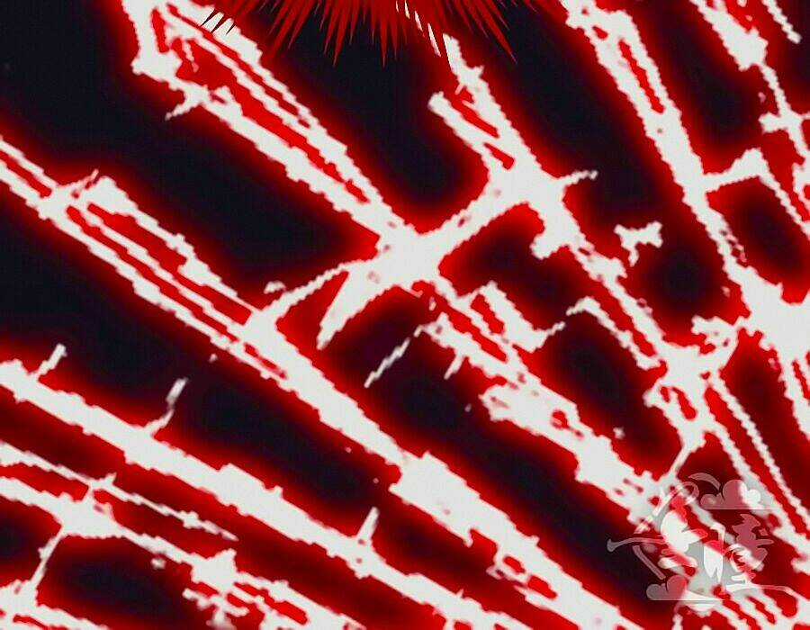 Tinh Ngụy - Chapter 2 - Trang 33