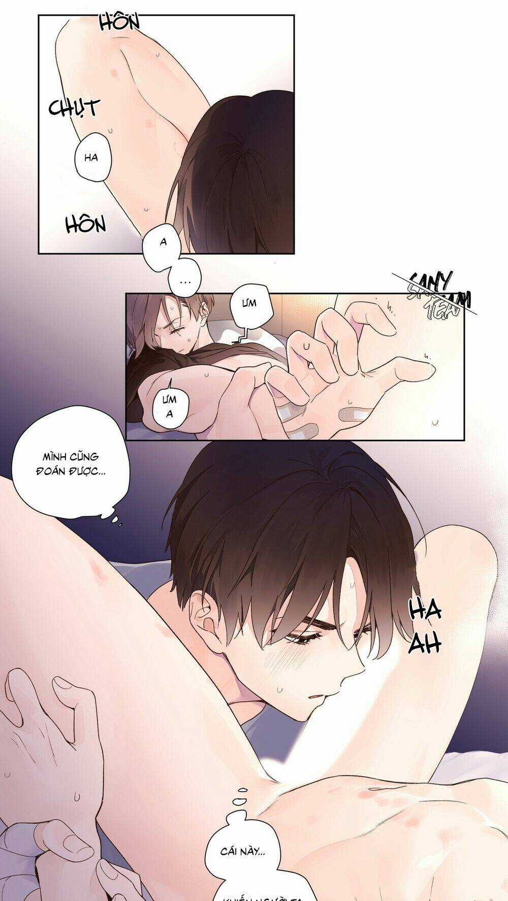 Tình Nhân 4 Tuần - Chapter 13 - Trang 19