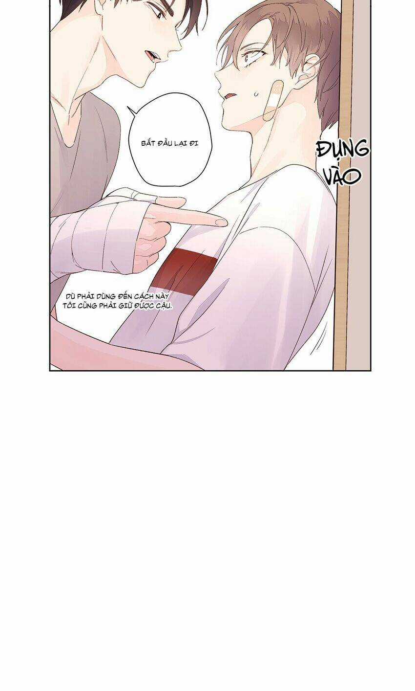 Tình Nhân 4 Tuần - Chapter 19 - Trang 21