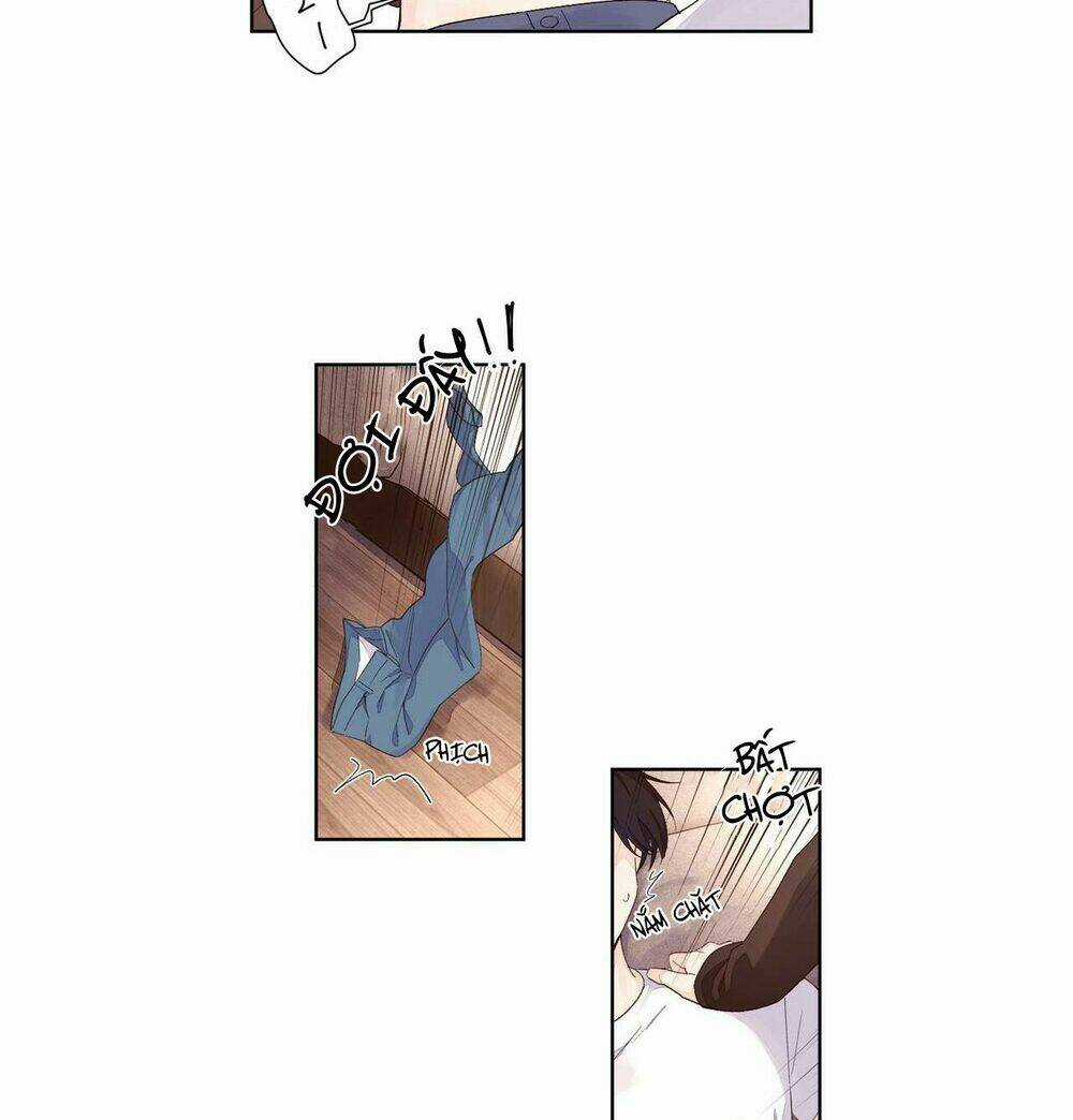 Tình Nhân 4 Tuần - Chapter 24 - Trang 4