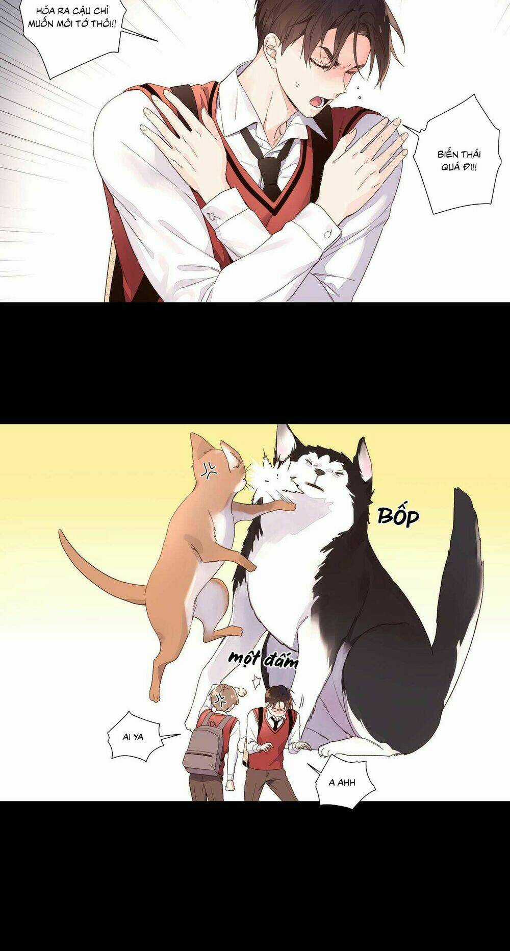 Tình Nhân 4 Tuần - Chapter 29 - Trang 5