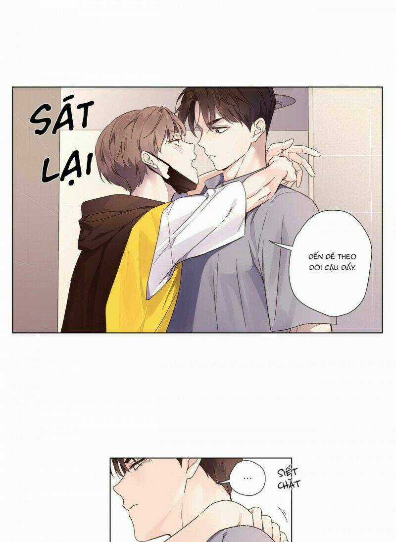 Tình Nhân 4 Tuần - Chapter 40 - Trang 20