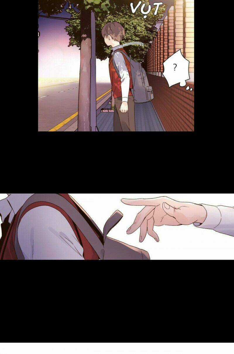 Tình Nhân 4 Tuần - Chapter 50 - Trang 3