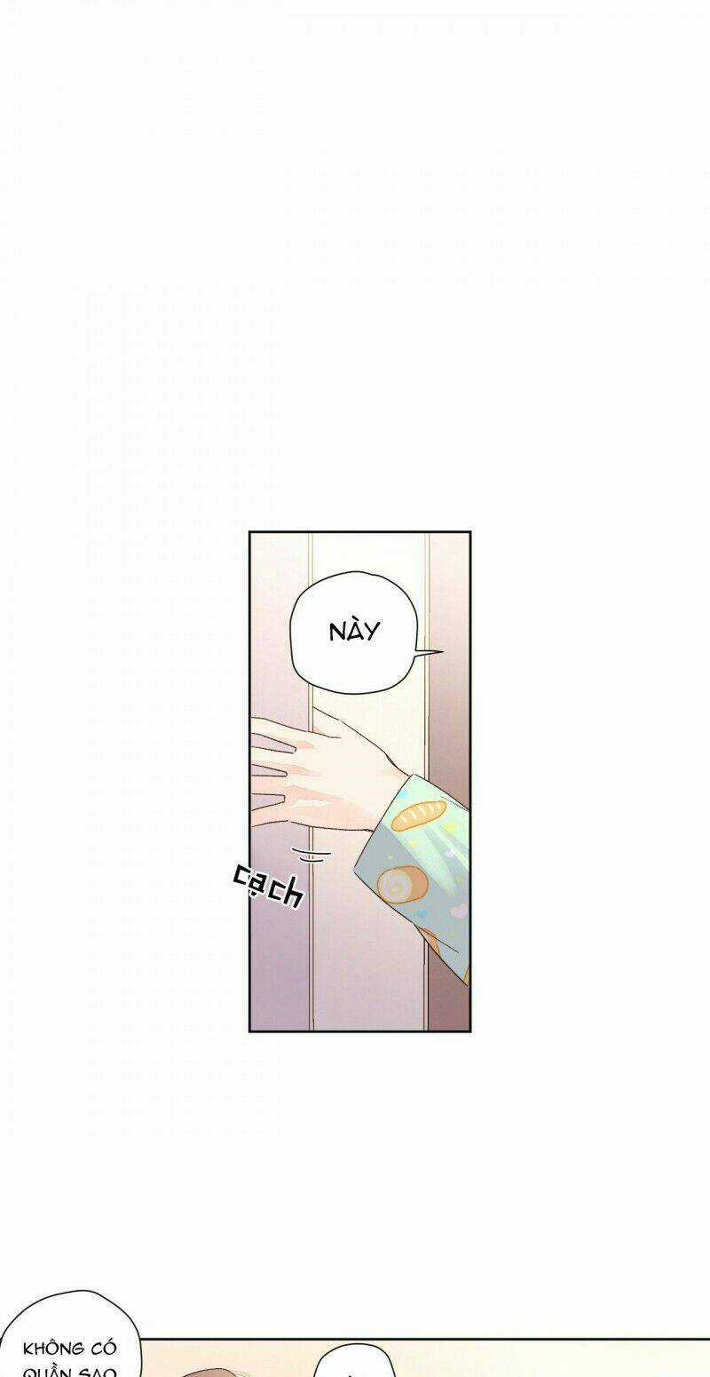 Tình Nhân 4 Tuần - Chapter 51 - Trang 3