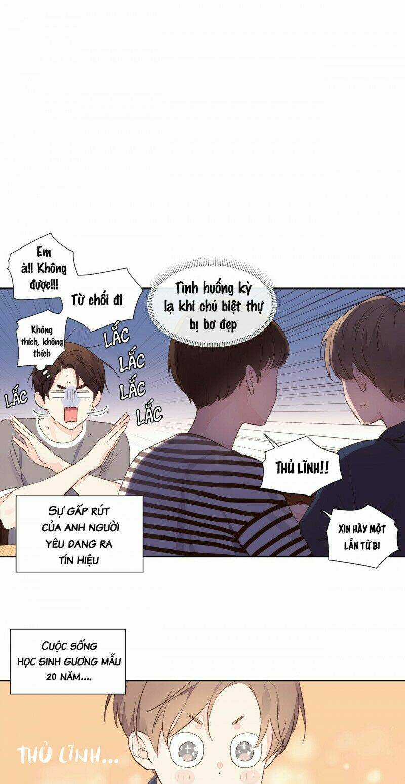 Tình Nhân 4 Tuần - Chapter 52 - Trang 5