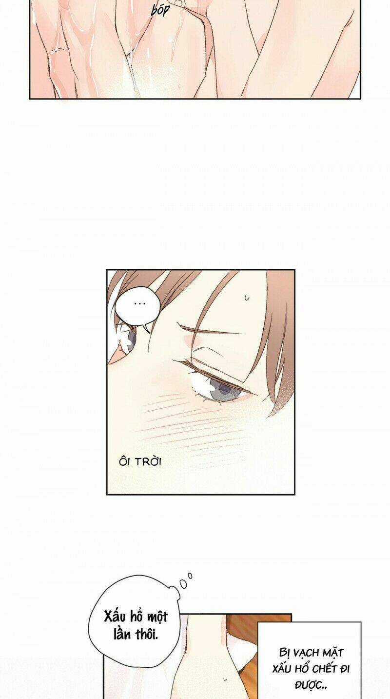 Tình Nhân 4 Tuần - Chapter 56 - Trang 31