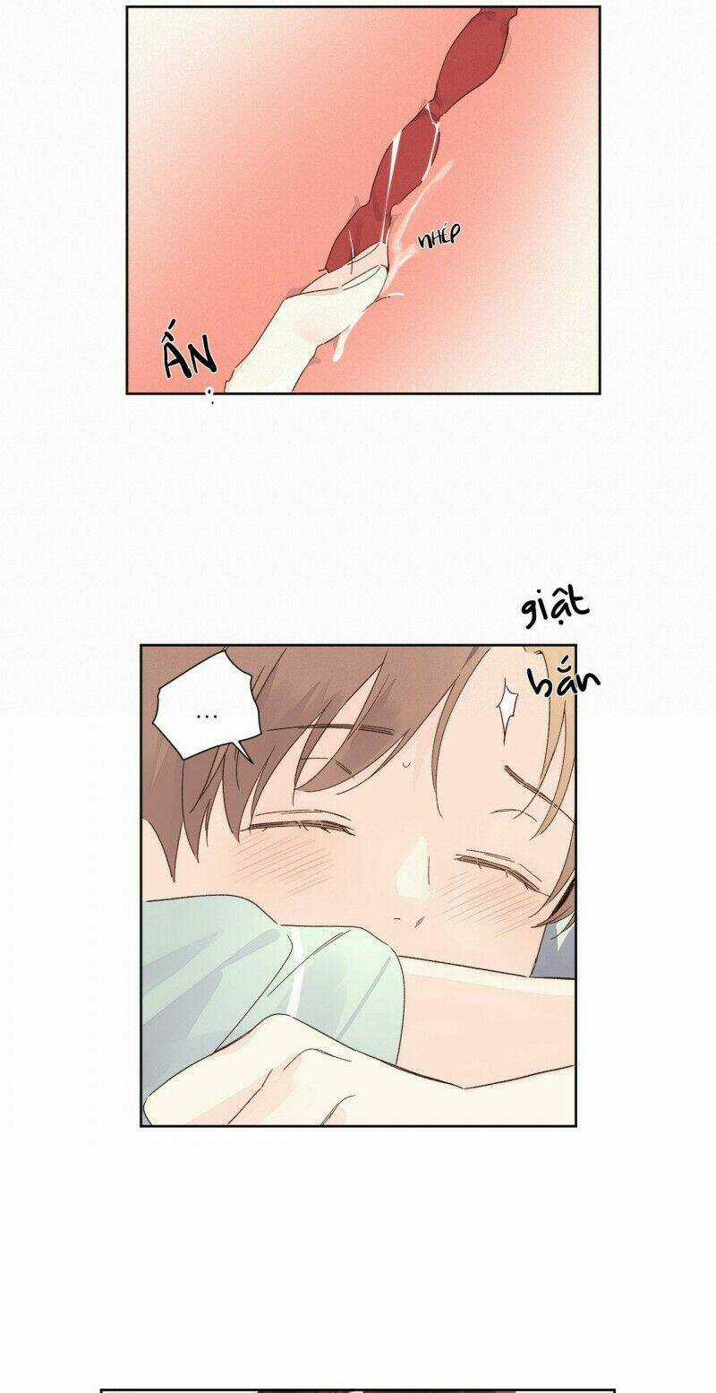 Tình Nhân 4 Tuần - Chapter 56 - Trang 8