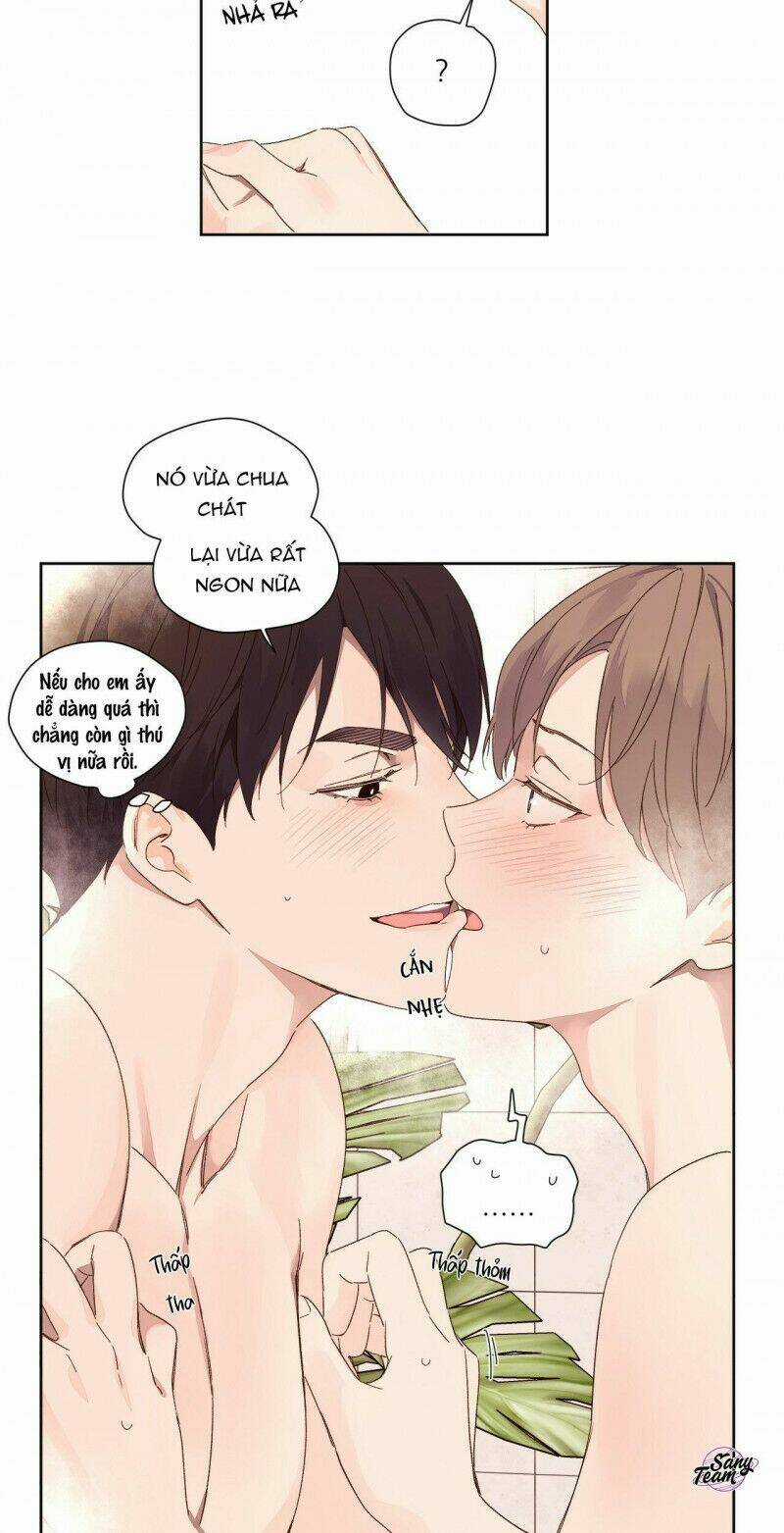 Tình Nhân 4 Tuần - Chapter 57 - Trang 3