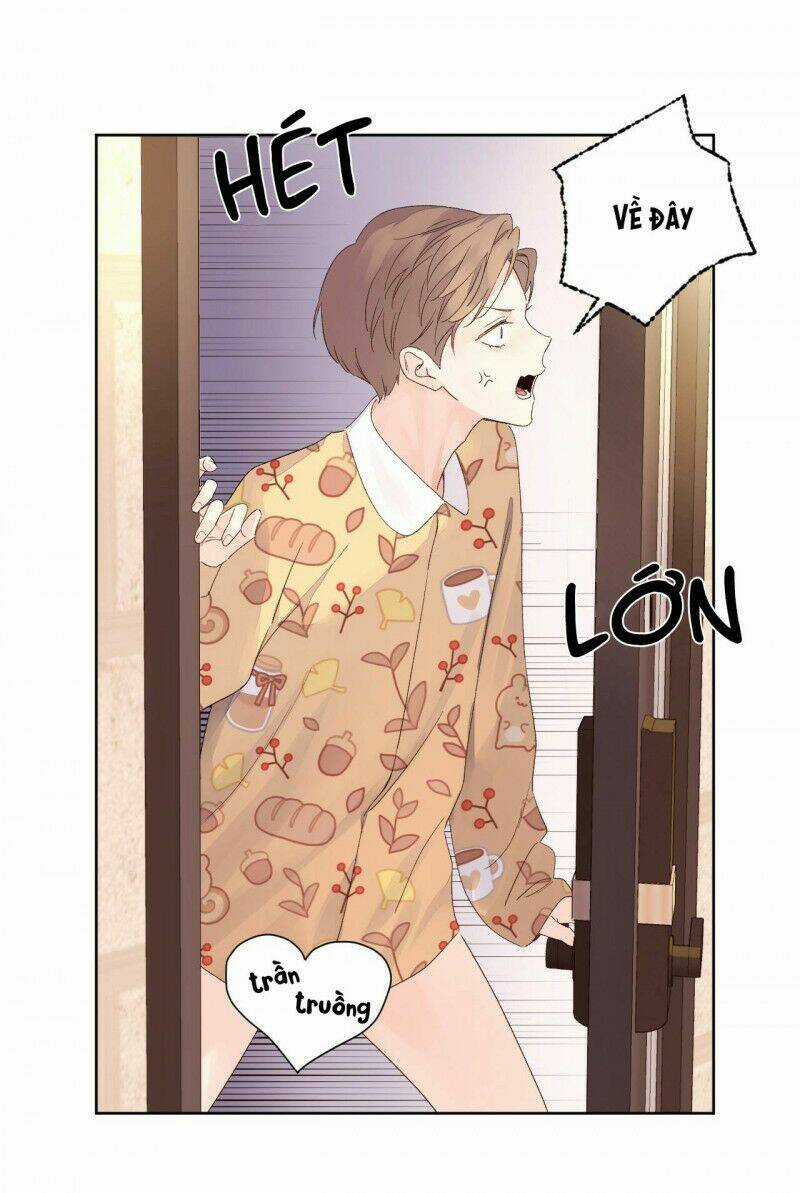 Tình Nhân 4 Tuần - Chapter 64 - Trang 5