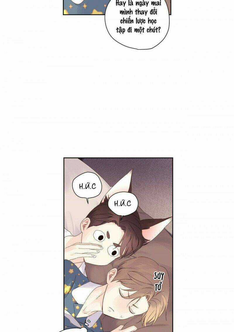 Tình Nhân 4 Tuần - Chapter 65 - Trang 21