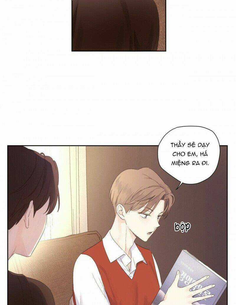 Tình Nhân 4 Tuần - Chapter 65 - Trang 36