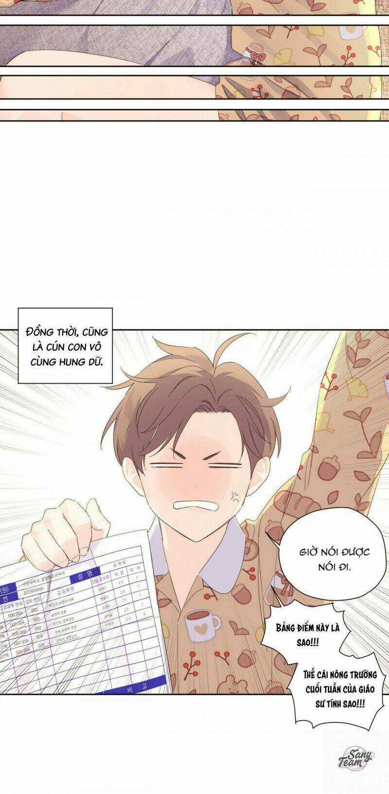 Tình Nhân 4 Tuần - Chapter 65 - Trang 9