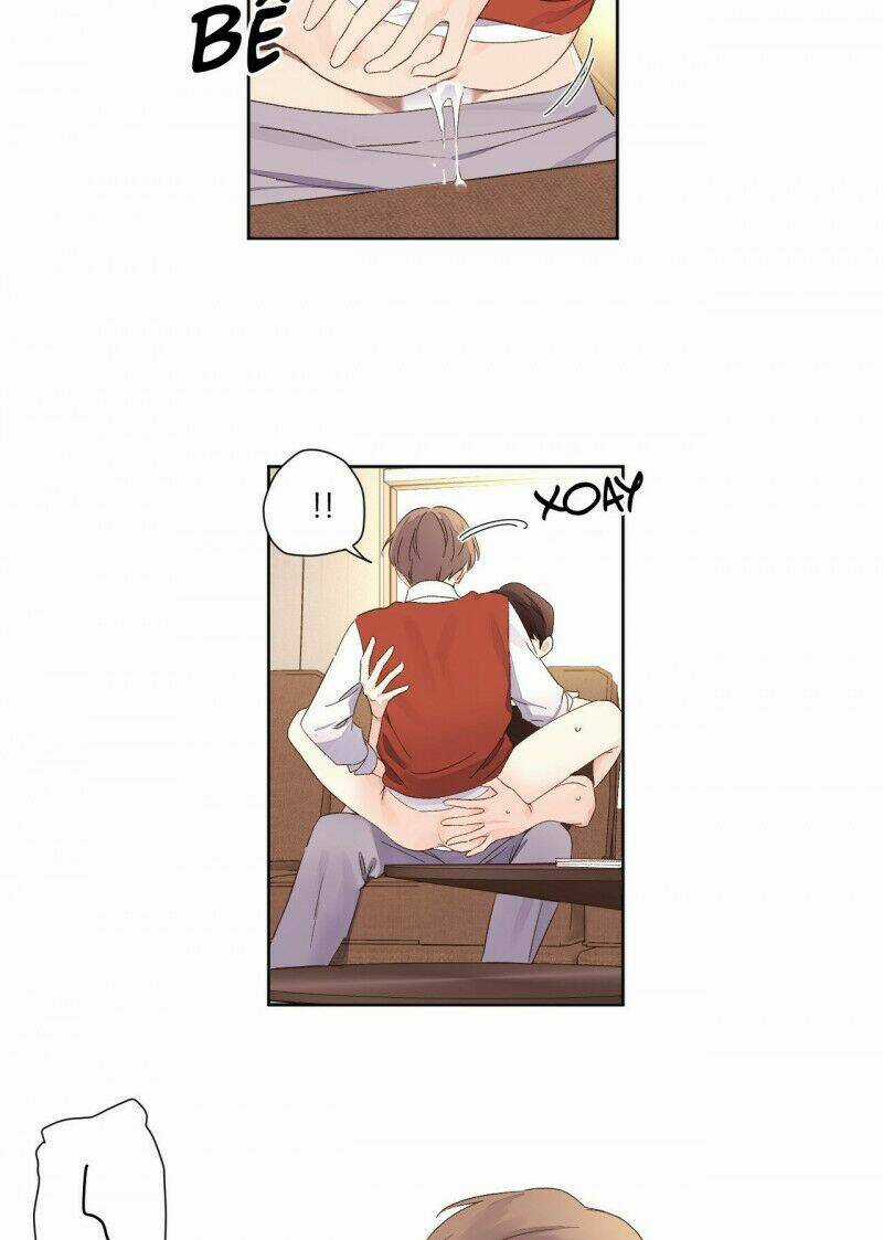 Tình Nhân 4 Tuần - Chapter 67 - Trang 5