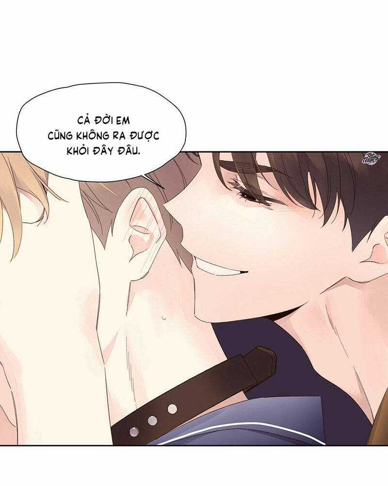 Tình Nhân 4 Tuần - Chapter 71 - Trang 48