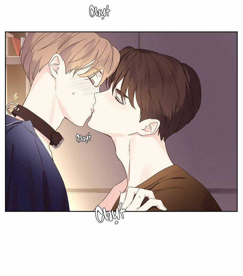 Tình Nhân 4 Tuần - Chapter 72 - Trang 3