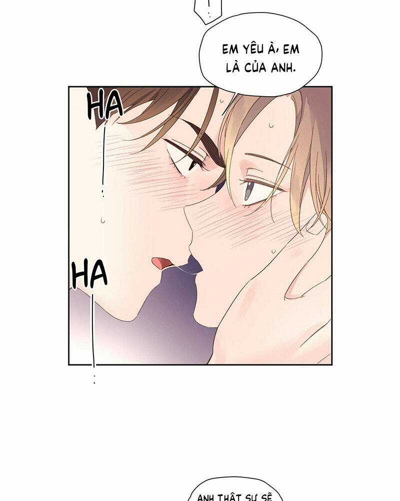 Tình Nhân 4 Tuần - Chapter 72 - Trang 39