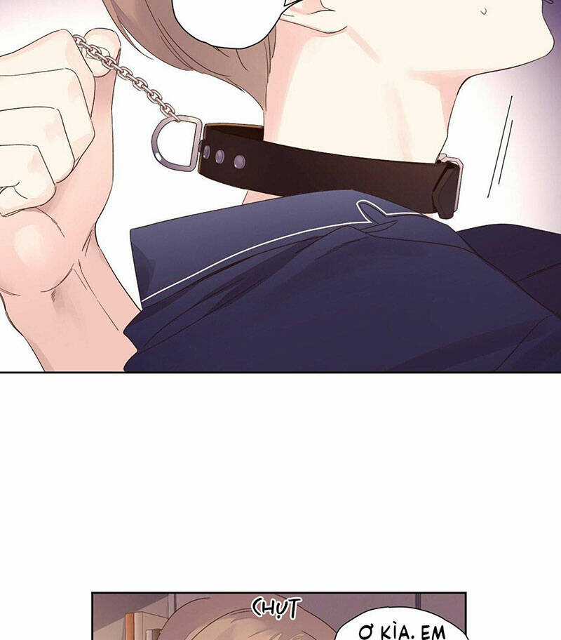 Tình Nhân 4 Tuần - Chapter 72 - Trang 5