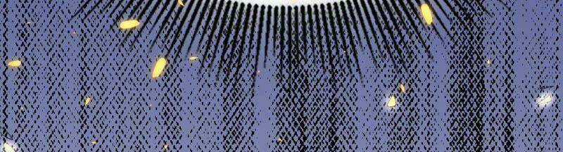 Tình Tễ Hà Xử - Chapter 10 - Trang 59