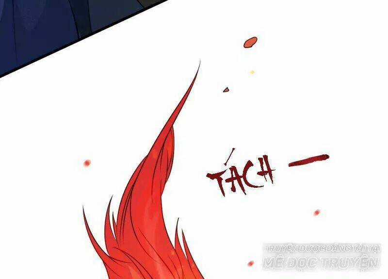 Tình Tễ Hà Xử - Chapter 7 - Trang 66