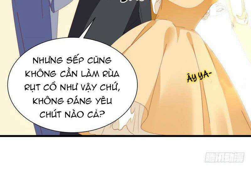 Tình Yêu 1 Carat - Chapter 8 - Trang 43