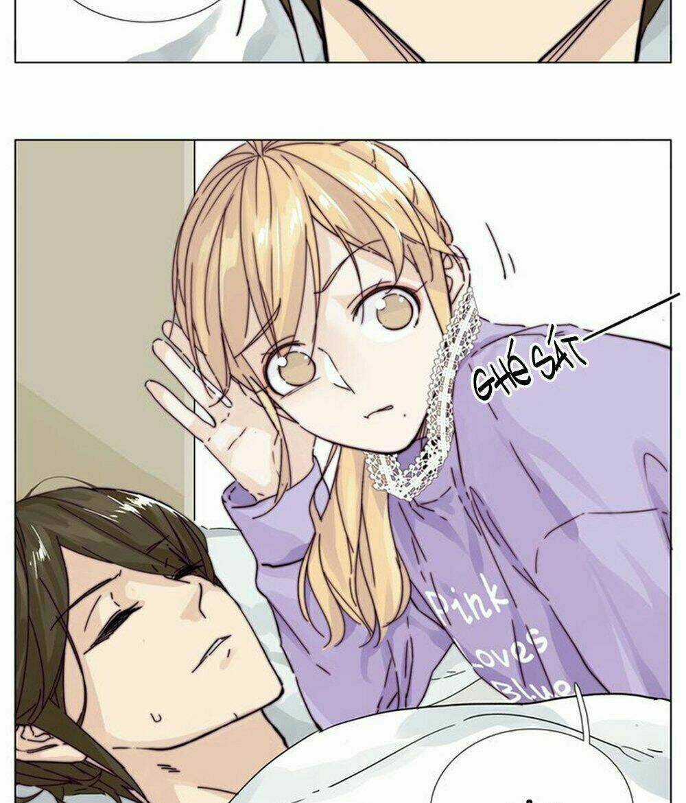 Tình Yêu Chớp Nhoáng - Chapter 77 - Trang 3