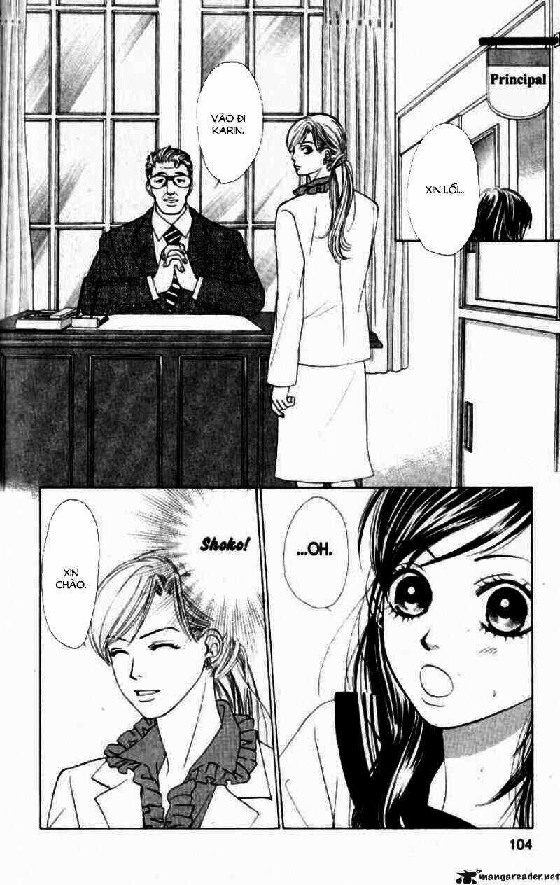 Tình Yêu Đích Thực - Chapter 33 - Trang 8