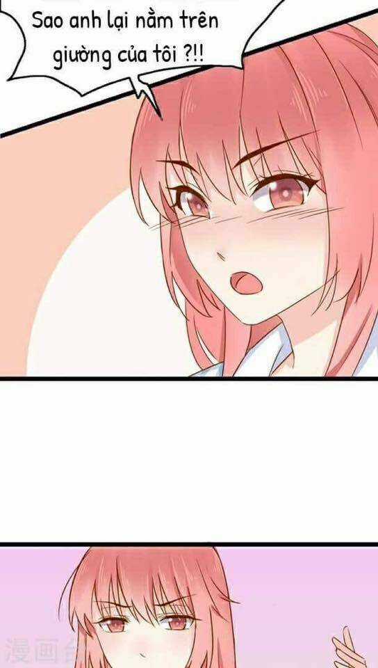 Tình yêu mai mối - Chapter 2 - Trang 28