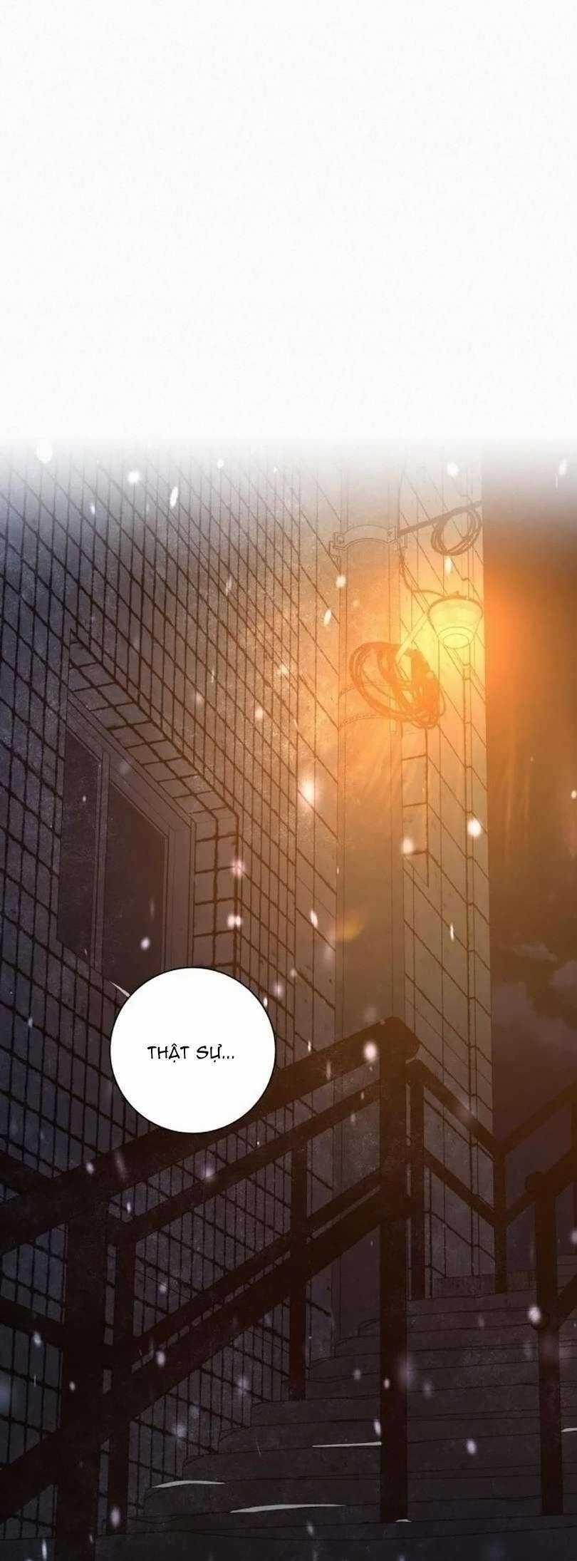 Tình Yêu Trong Sáng - Chapter 115 - Trang 17