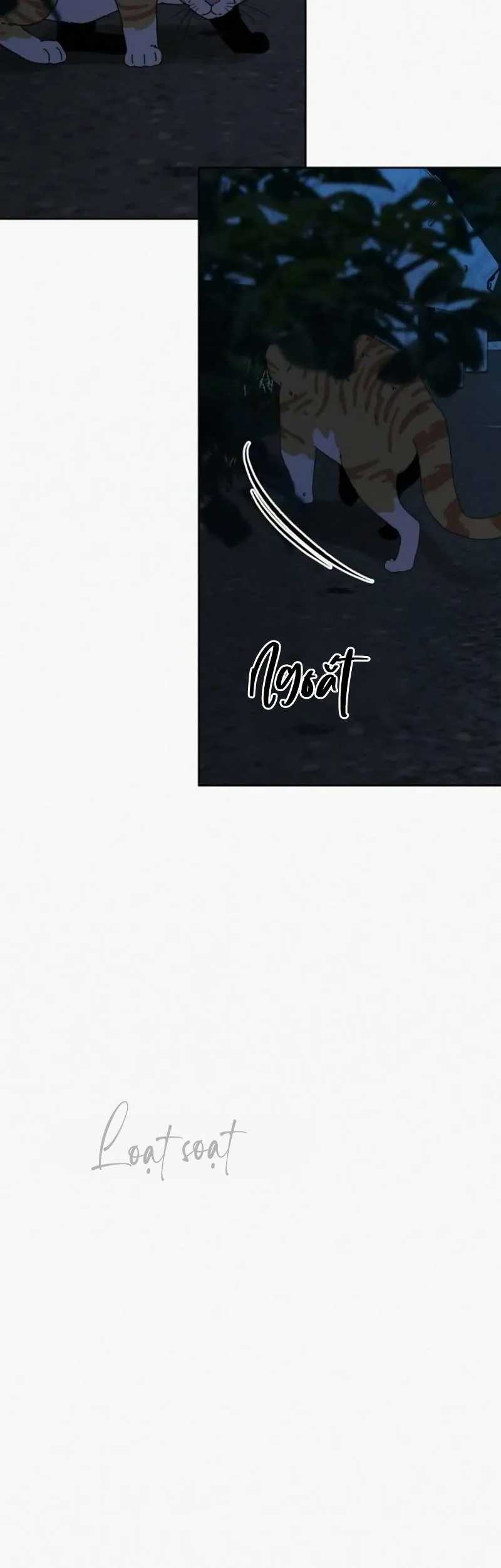 Tình Yêu Trong Sáng - Chapter 124 - Trang 29