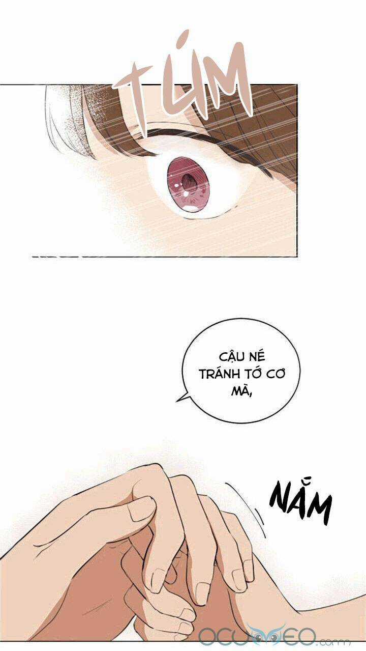 Tình Yêu Tuổi Trẻ - Chapter 41 - Trang 20