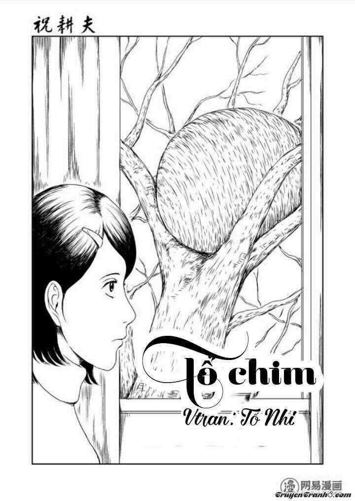 Tổ Chim - Chapter 1 - Trang 1