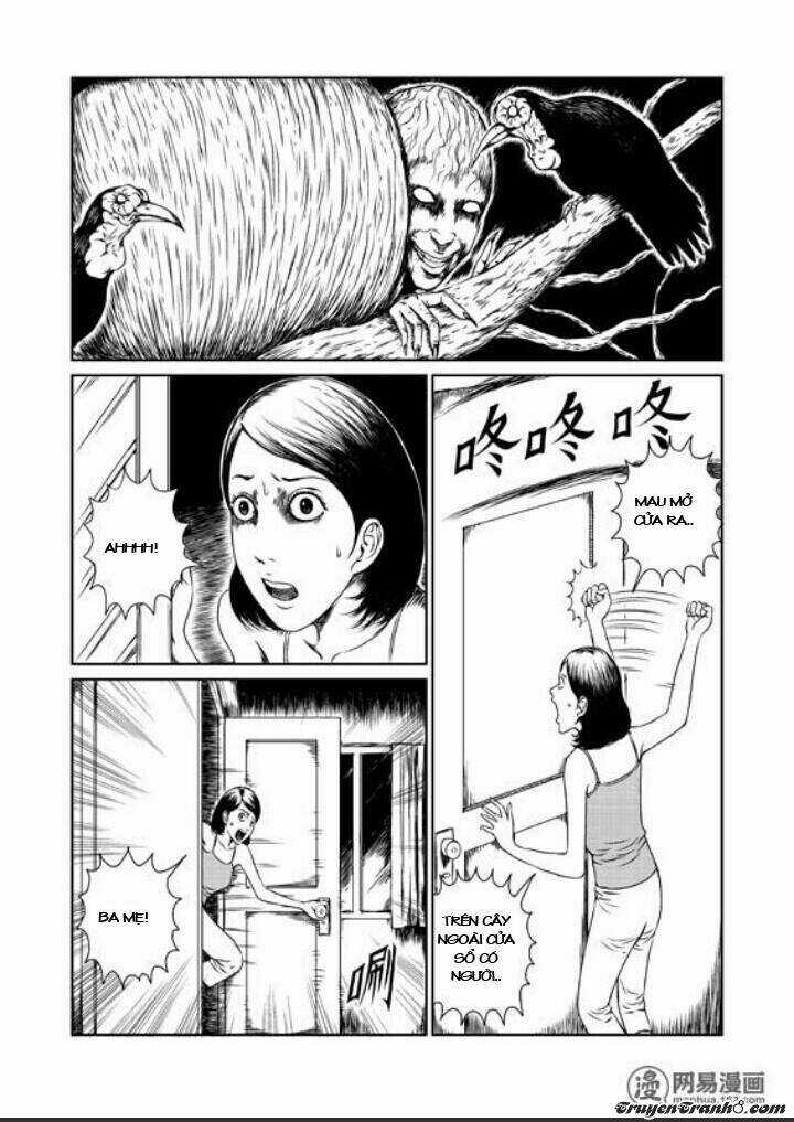 Tổ Chim - Chapter 1 - Trang 11