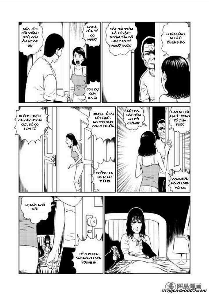 Tổ Chim - Chapter 1 - Trang 12