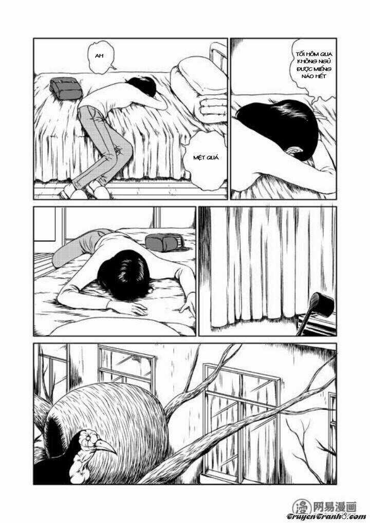 Tổ Chim - Chapter 1 - Trang 17