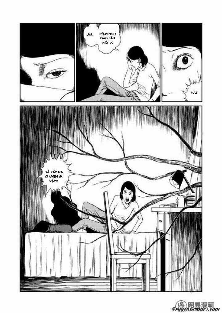 Tổ Chim - Chapter 1 - Trang 18