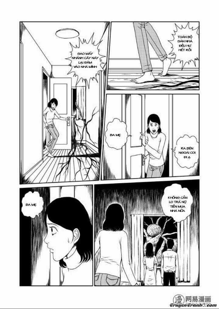 Tổ Chim - Chapter 1 - Trang 19