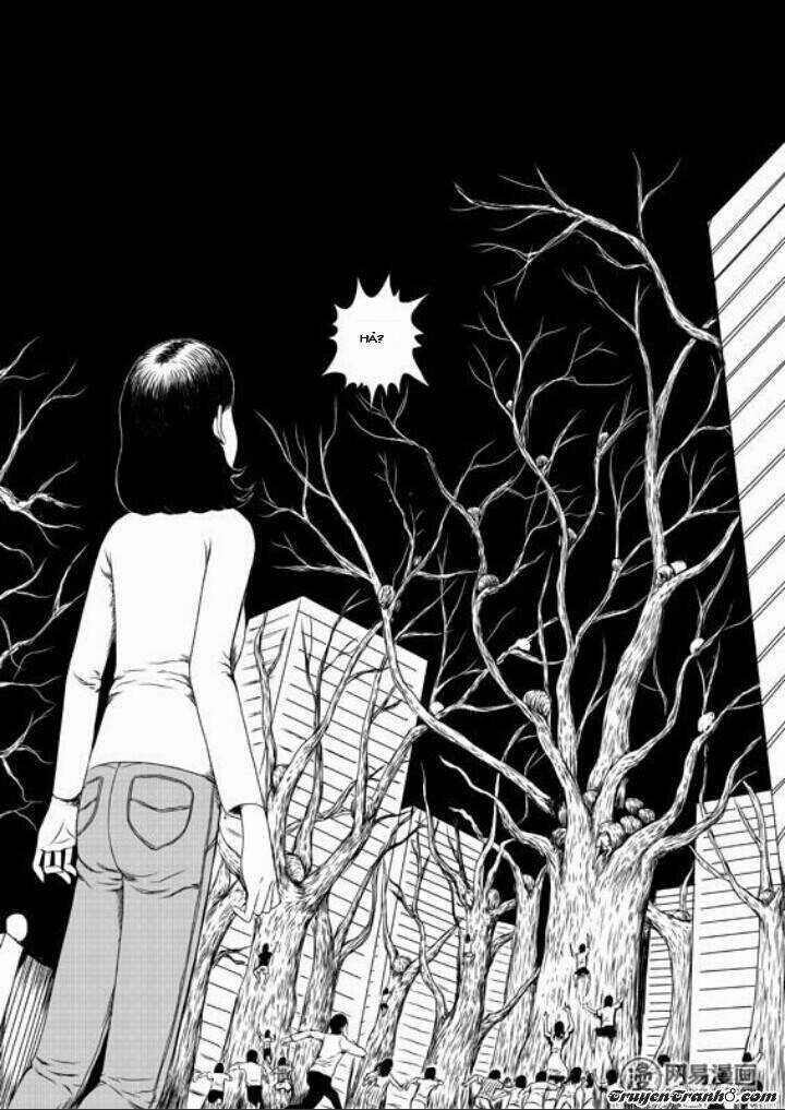 Tổ Chim - Chapter 1 - Trang 23