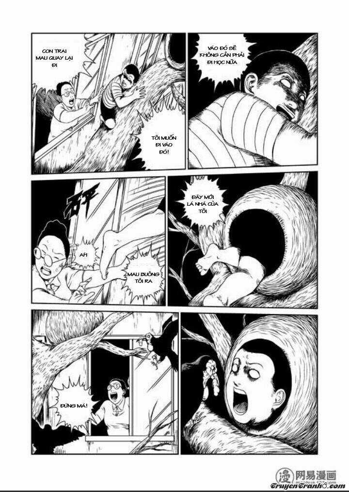 Tổ Chim - Chapter 1 - Trang 24